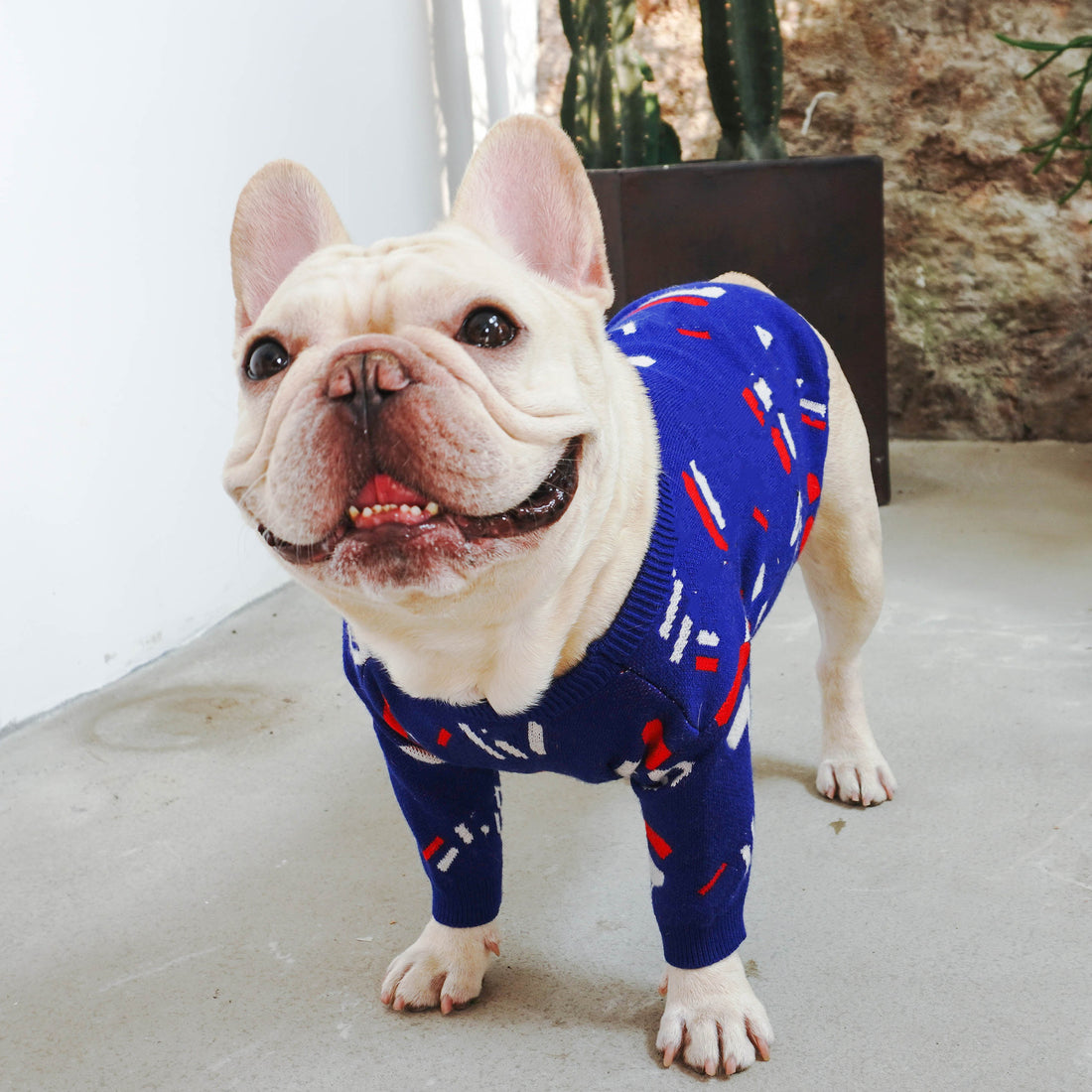 Pug Pet Sweater Clothes