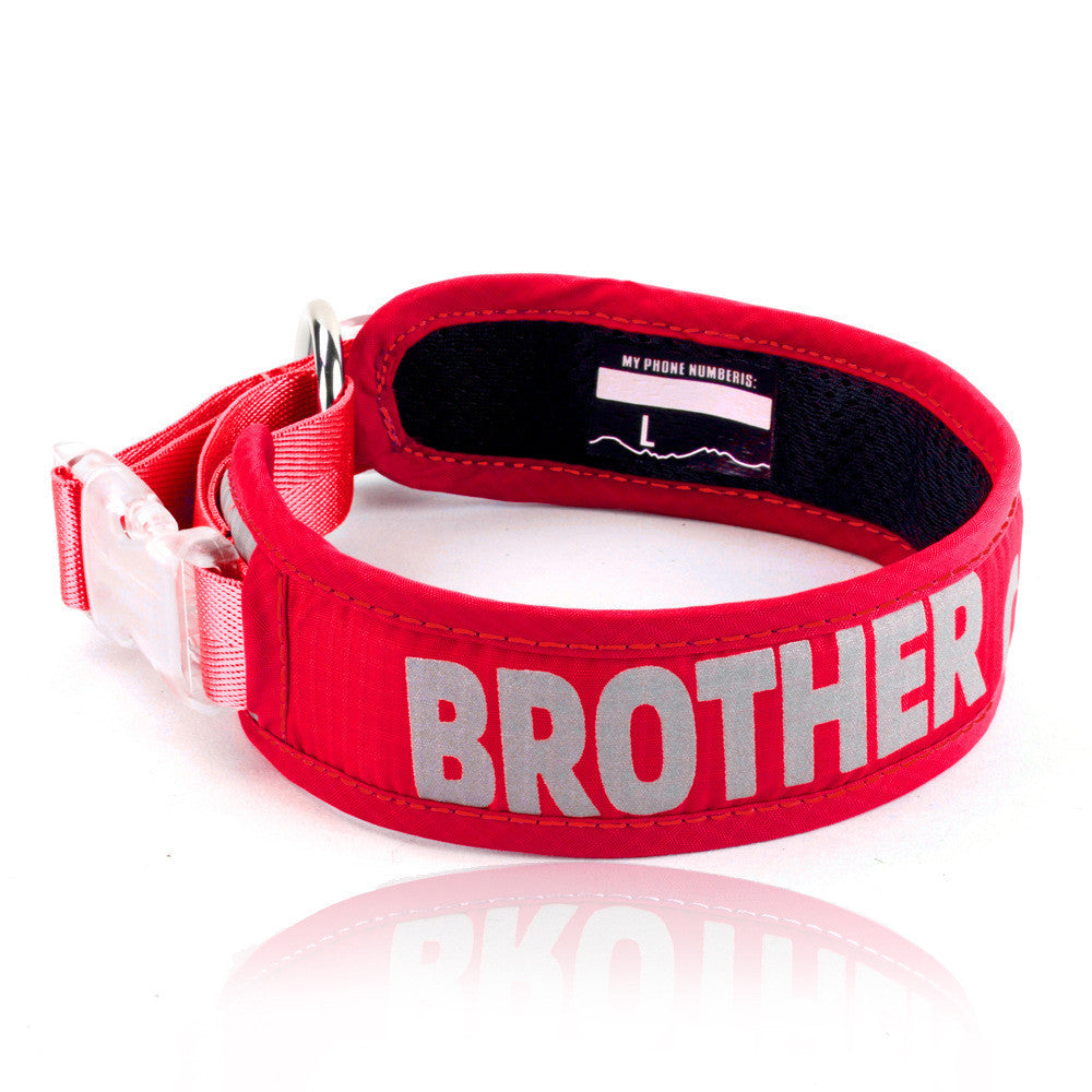 Explosion Proof Big Dog Chest Strap Leash