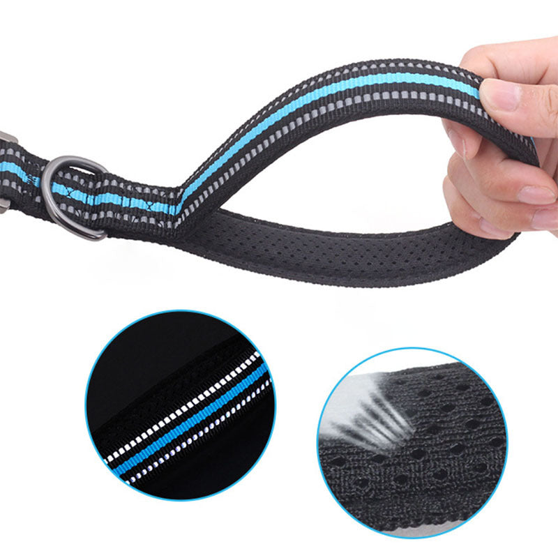 Big Dog Short Traction Leash Step Training