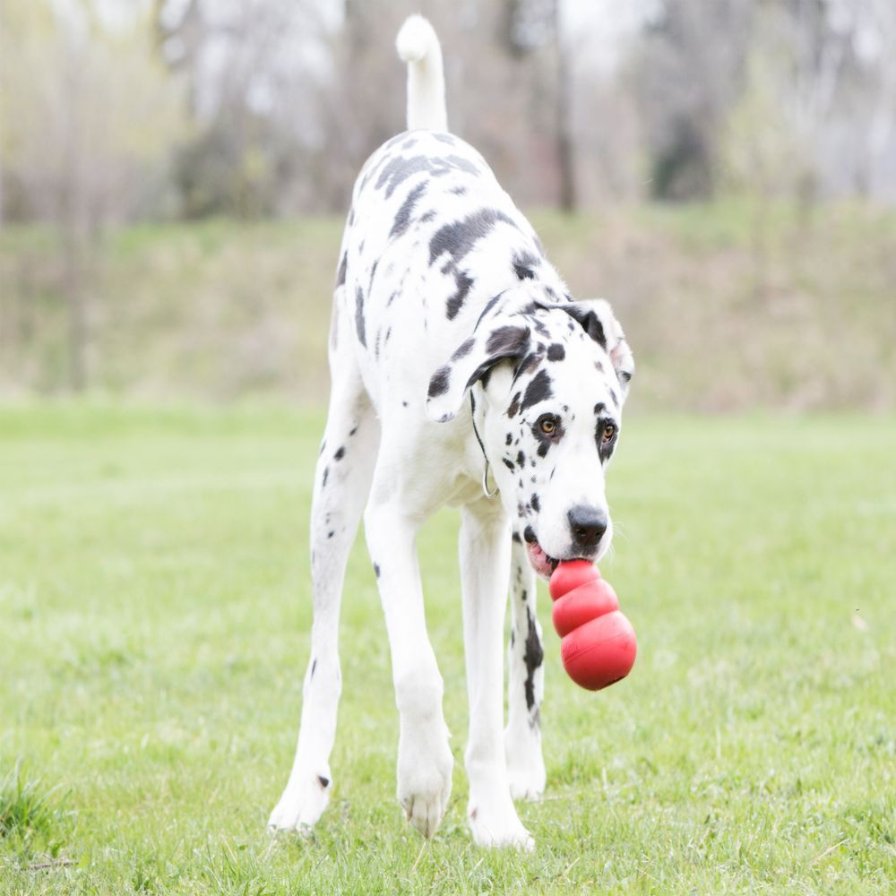 Pet Supplies Rubber Dog Toy