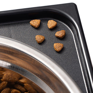 Pet Lifting Feeding Bowl