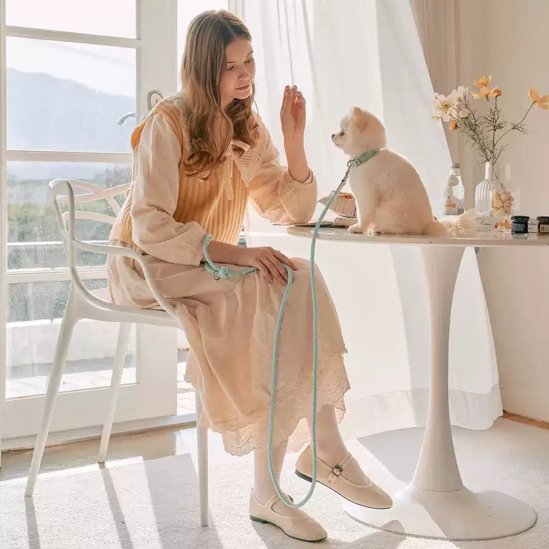 Leather Hand Holding Rope Dog Leash