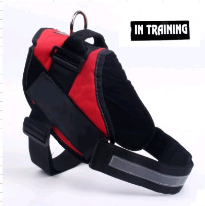 Pet chest back big dog leash