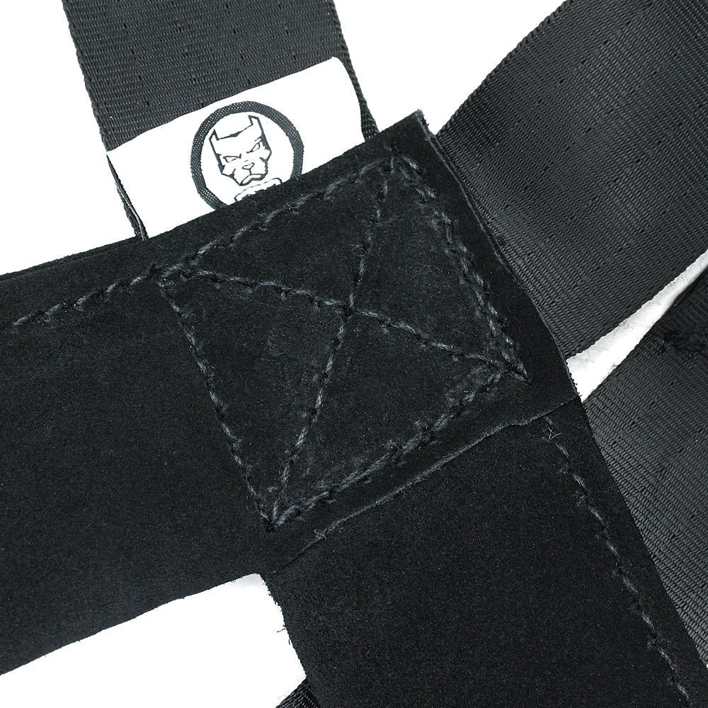 Pet Training Supplies Leashes Chest Straps