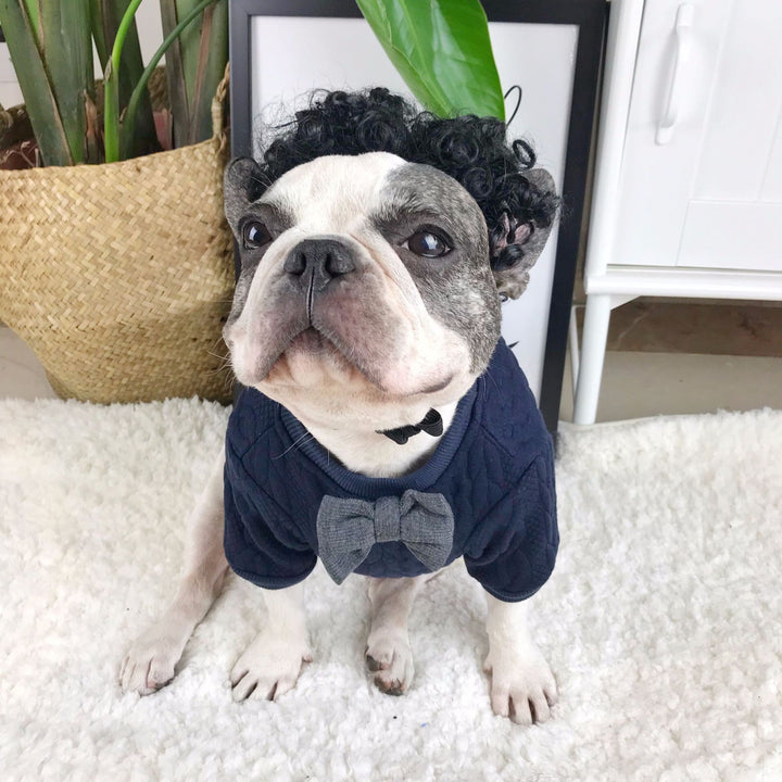 Pet Trendy Sweater Bottoming Shirt