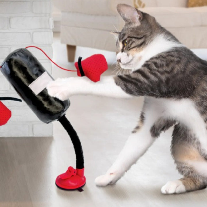 Multi-functional Cat Teasing And Boxing Toy