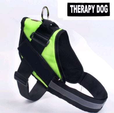 Pet chest back big dog leash