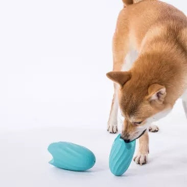 Bite-resistant Pet Educational Toy