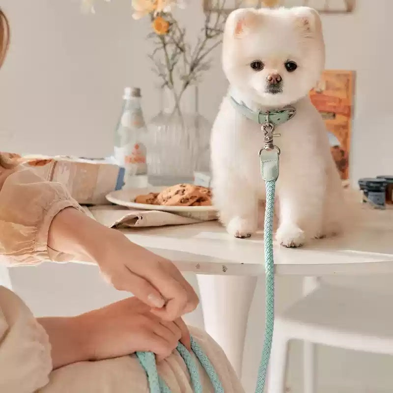 Leather Hand Holding Rope Dog Leash