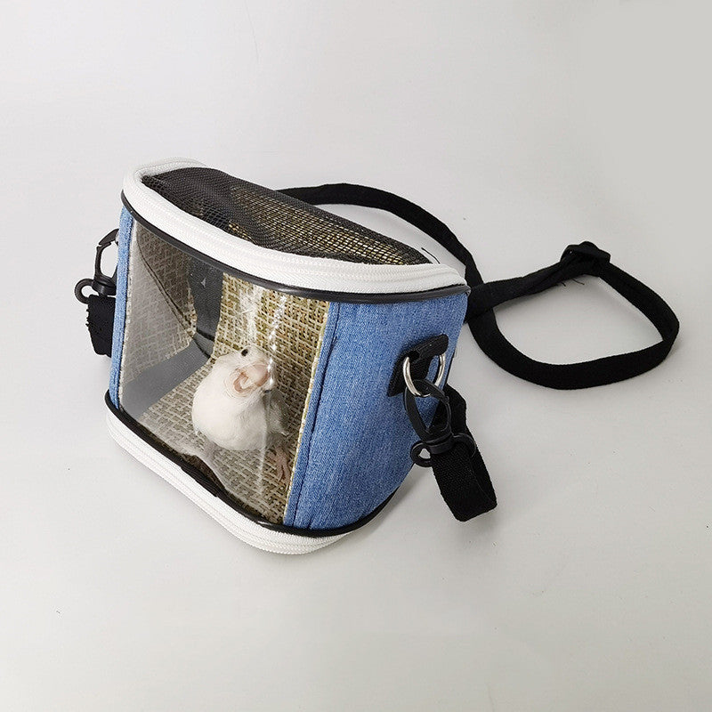 Medium-sized Parrot Outing Bird