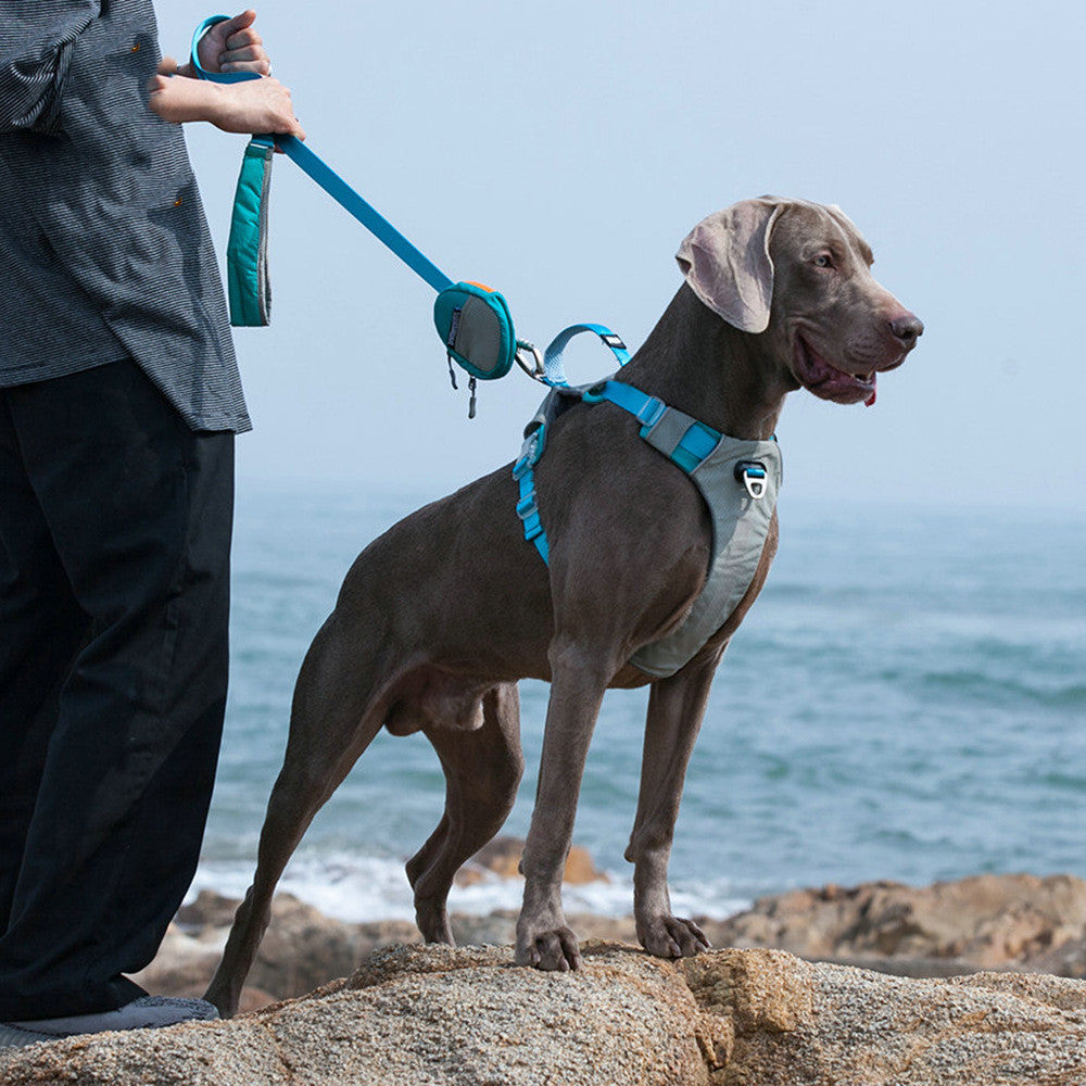 Explosion Proof Big Dog Chest Strap Leash