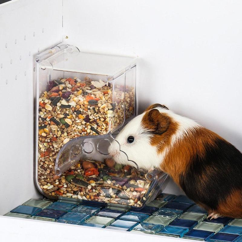 Hamster Feeder Food Box