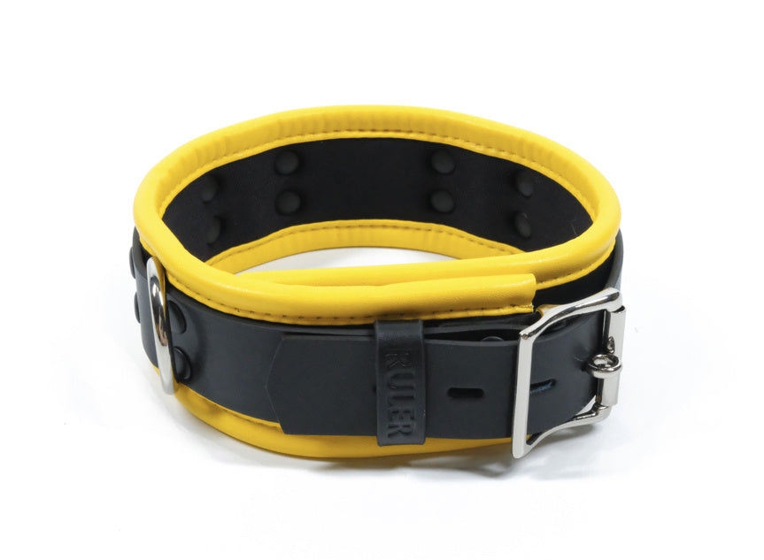 Dog Role Playing Collar