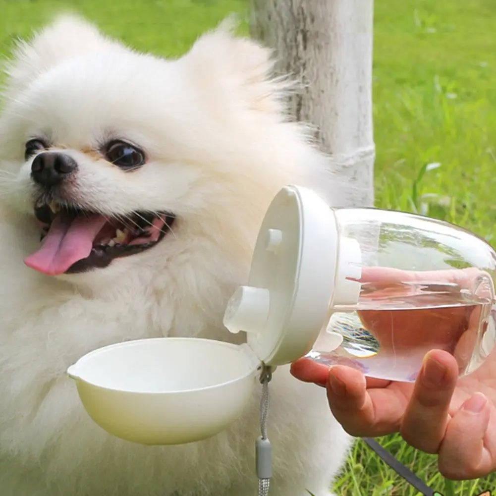 Portable Outdoor Pet Water Bottle