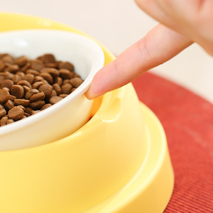 Pet Double Feeding Bowl