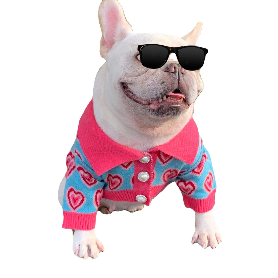 Pet Trendy Dog Sweater