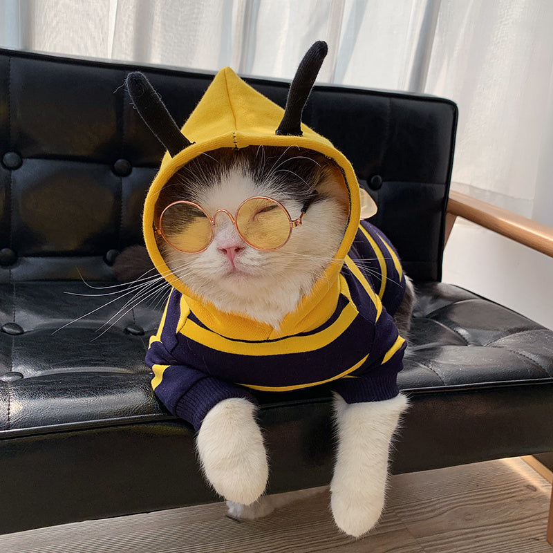 Winter Warm Pet Bee Costume Jacket