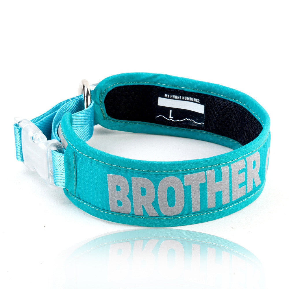 Explosion Proof Big Dog Chest Strap Leash