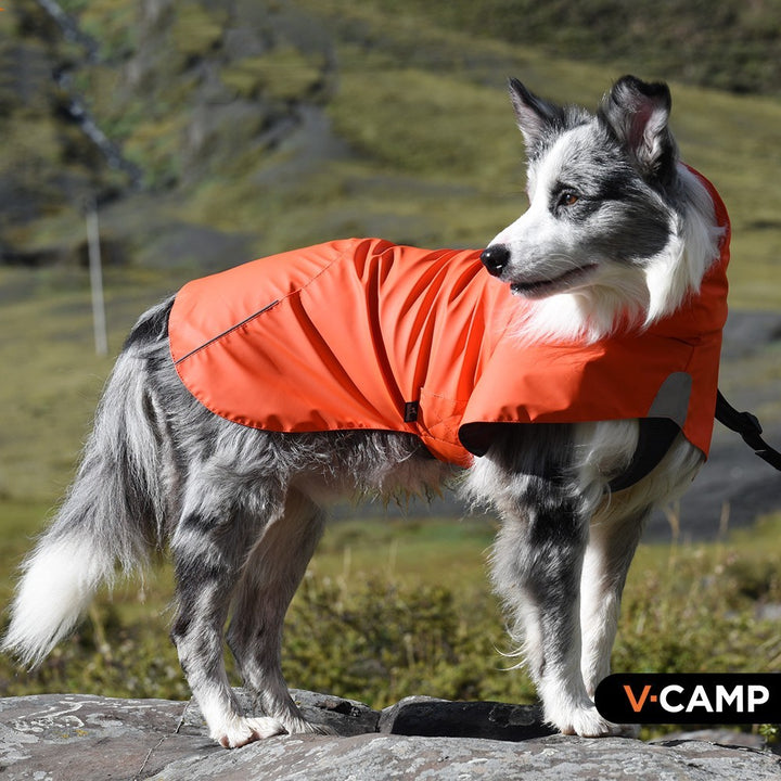Pet Shell Waterproof Jacket