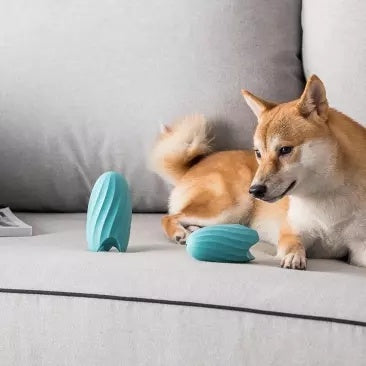 Bite-resistant Pet Educational Toy